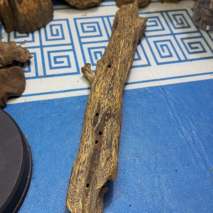 木绿奇陆河虫漏137克