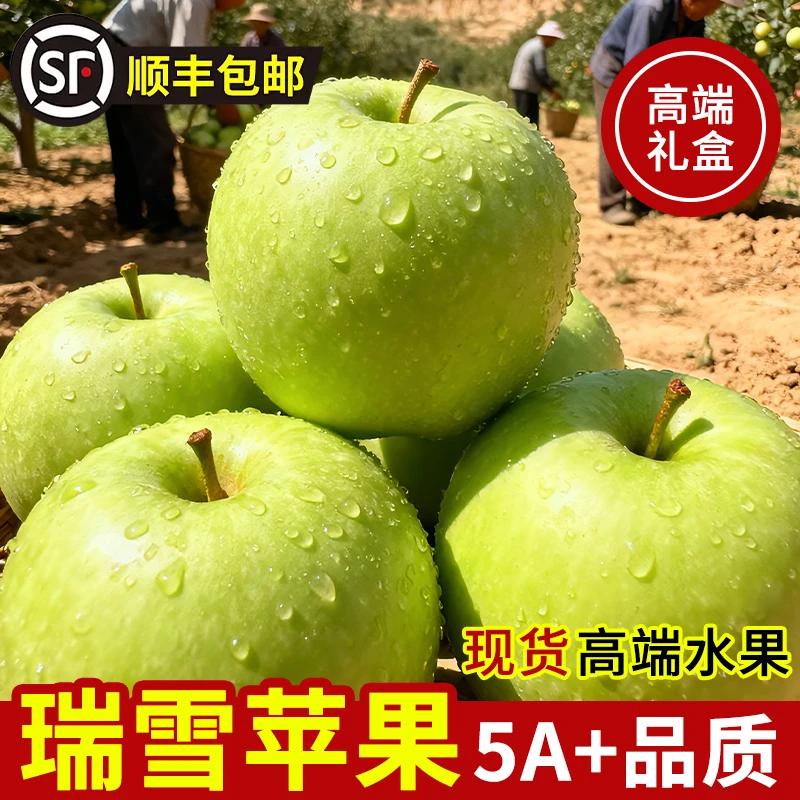 【礼盒包装】庆阳瑞雪苹果12枚/24枚应季送礼好物顺丰包邮