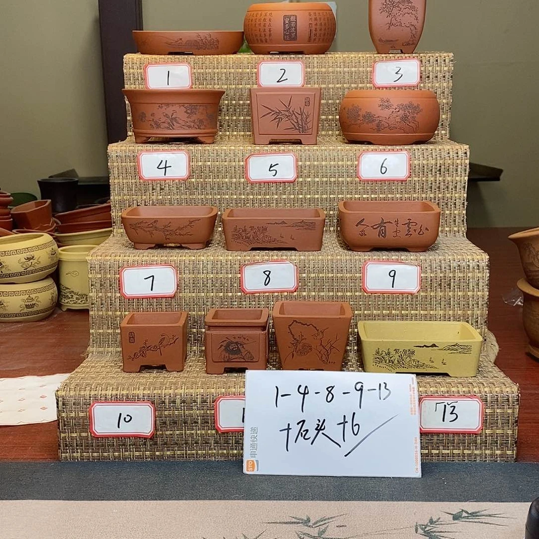 紫砂花盆张*僮我在等他