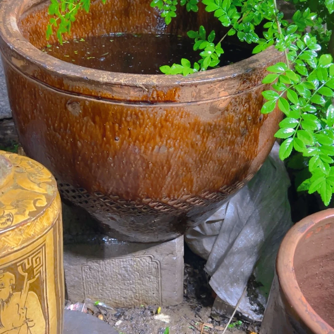 .*养鱼一物一拍包邮