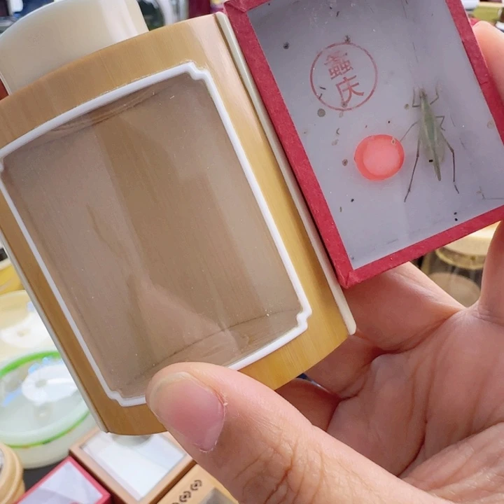 小葫芦➕精品竹蛉啊啊啊啊啊