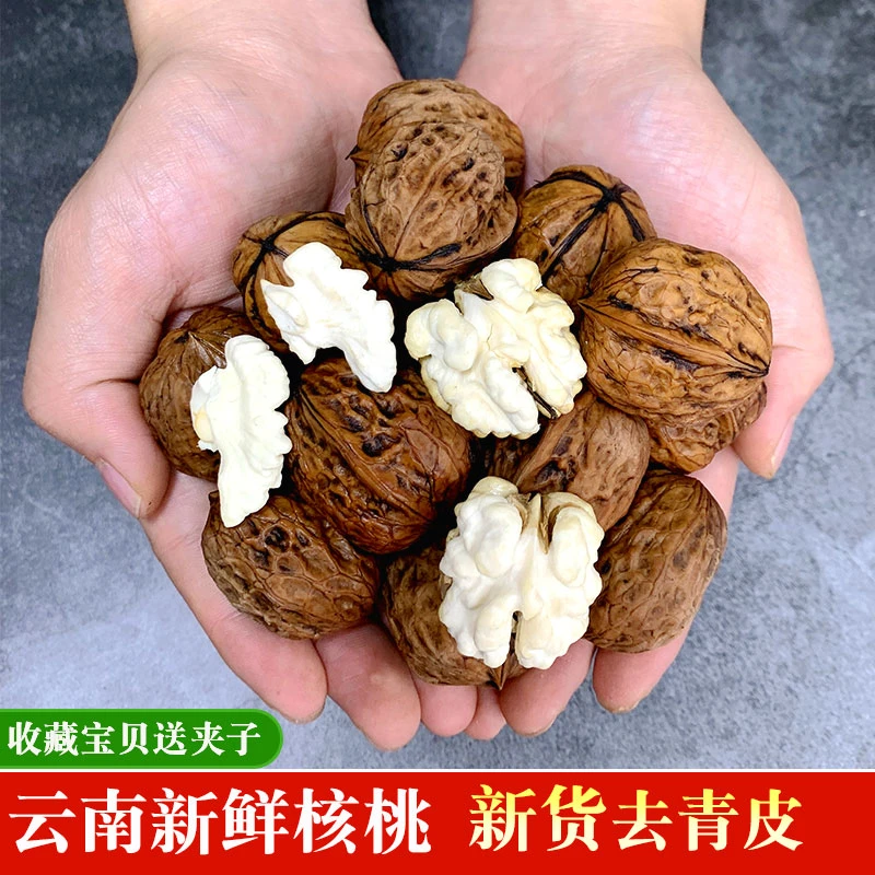 25年新货去青皮云南老树湿核桃新鲜无漂白纸皮饱满农家手剥水果