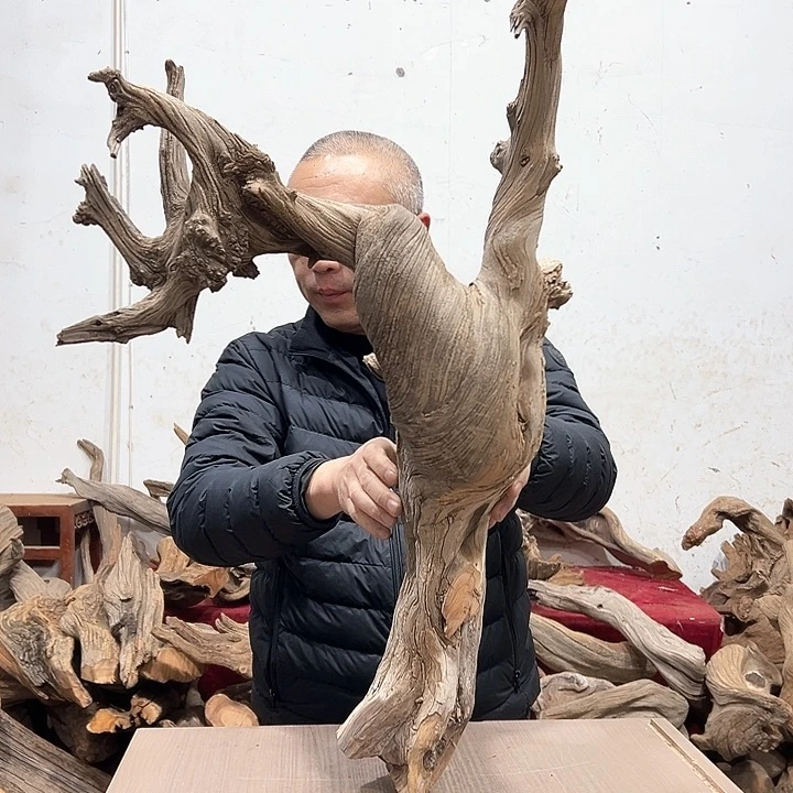 柏木?****?我们的生活是以自己为