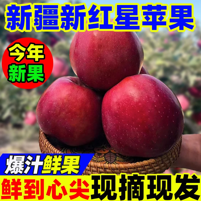 【新疆直发】正宗新疆新红星苹果脆甜红苹果当季新鲜水果