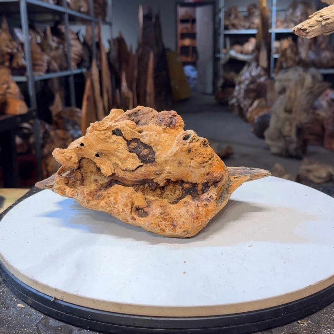 木刘****光王一刀琥珀木86