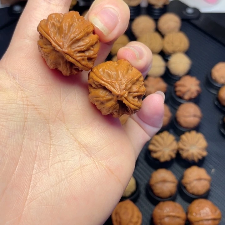 把件文玩核桃八爪鱼粗筋
