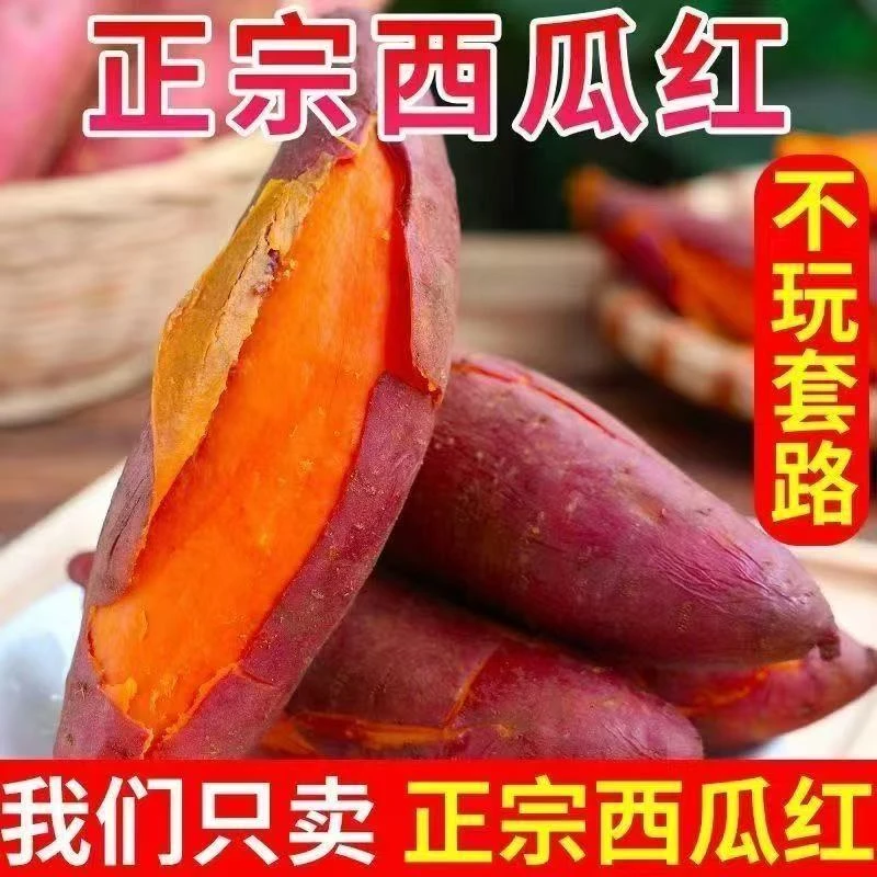 西瓜红沙地红薯烤红薯农家自种植糖心流油软糯香甜