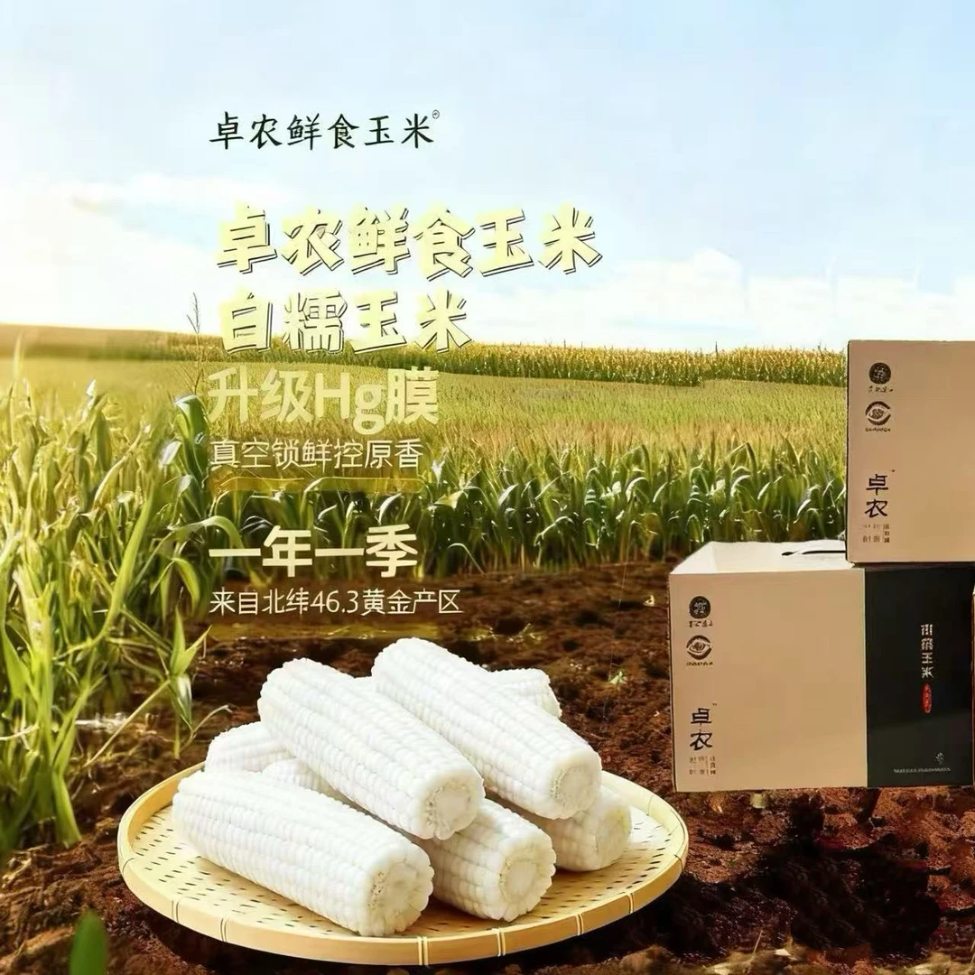 卓农 东北头茬黄白甜糯玉米真空包装生鲜低脂代餐8支装