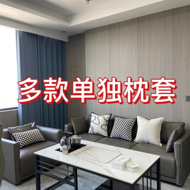 孤品单独枕套抱枕枕套多款轻奢简约家用卧室纯色加厚阳台