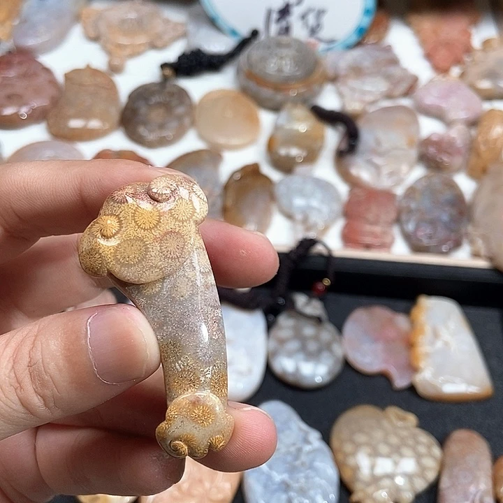 颈饰未镶嵌硅化珊瑚（珊瑚玉）