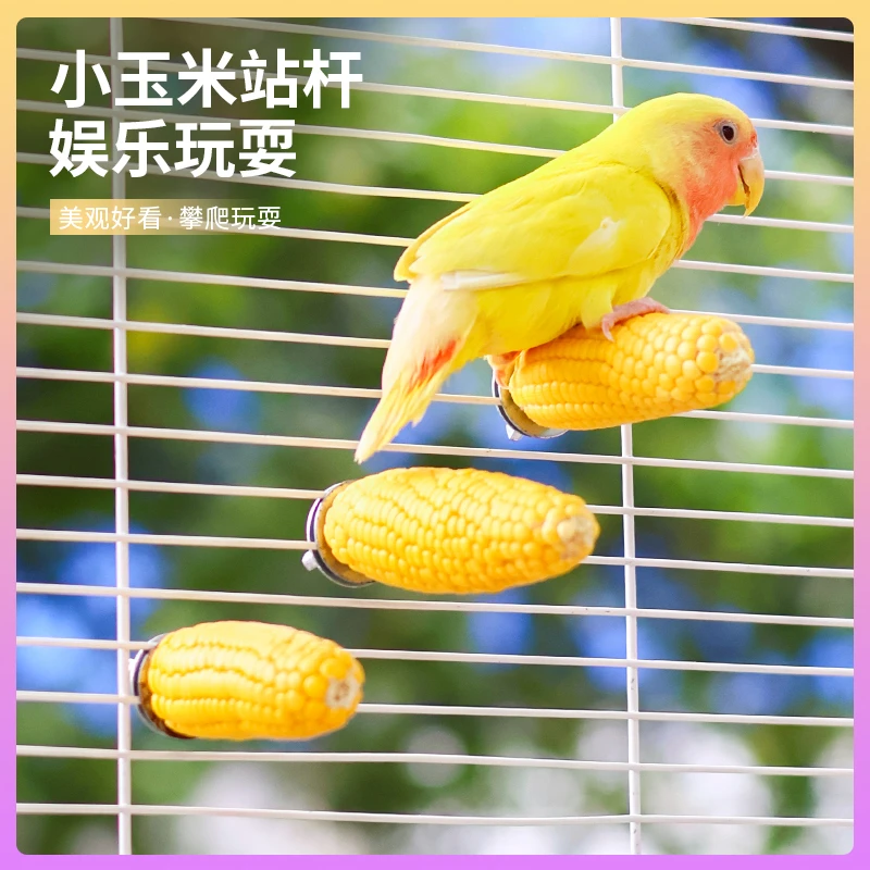 鹦鹉啃咬小玉米磨嘴站杆鸟玩具解闷娱乐玩耍站棒玄凤牡丹虎皮专用