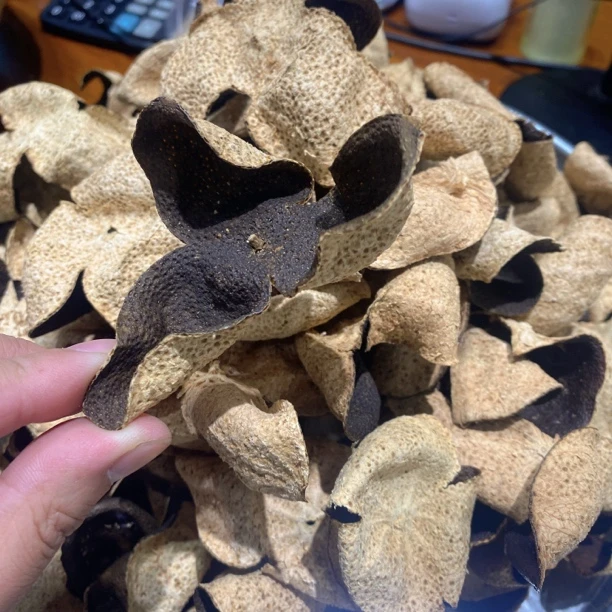 【2017年老树青皮】梅江圈枝老树大青皮 新会陈皮