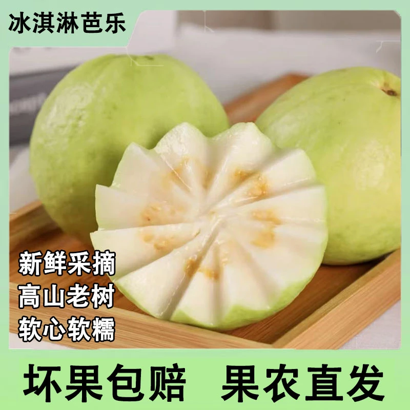 福建软心白芭乐应季整箱香脆甜新鲜番石榴白心软糯坏果包赔