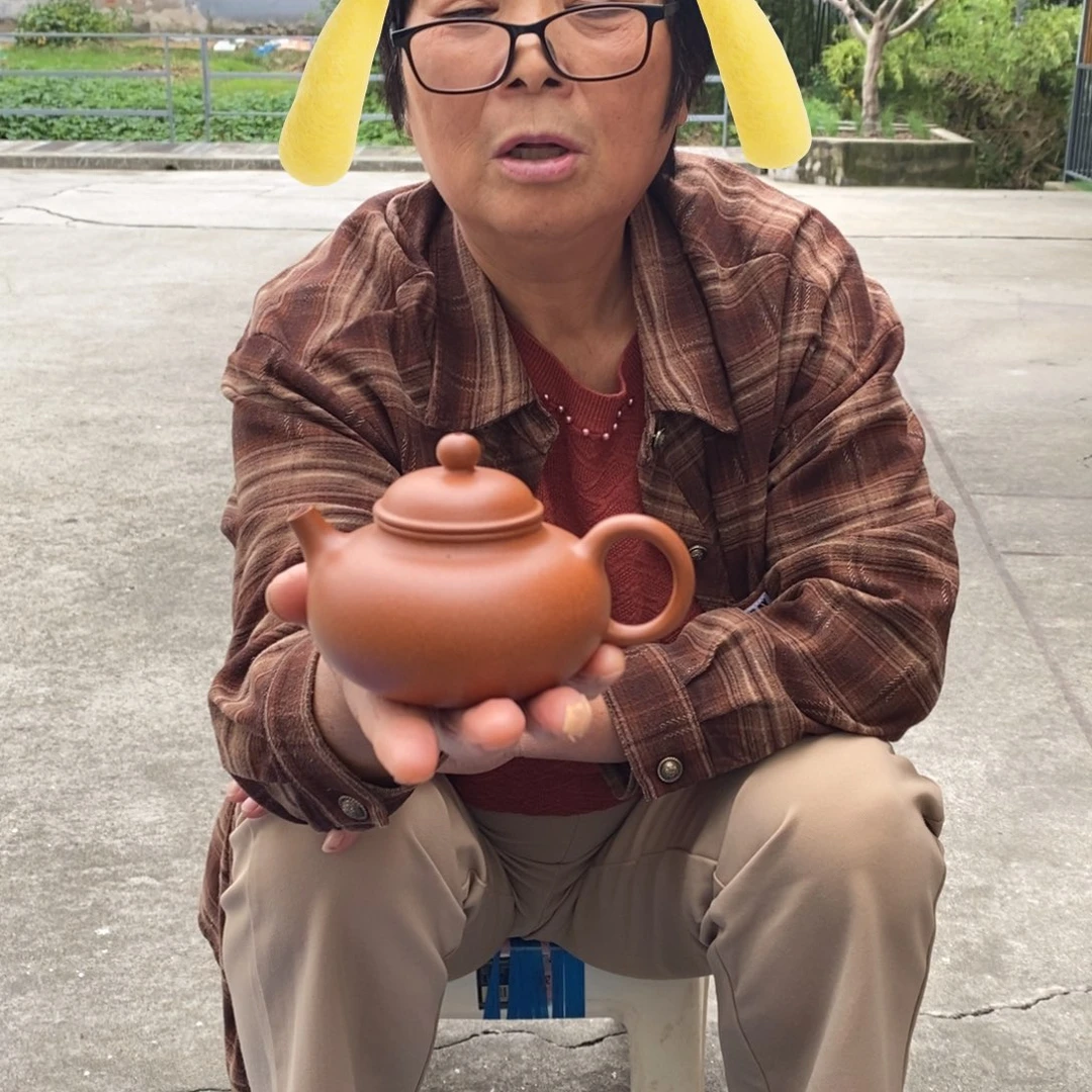 茶壶紫砂宜兴紫砂工艺美术精品
