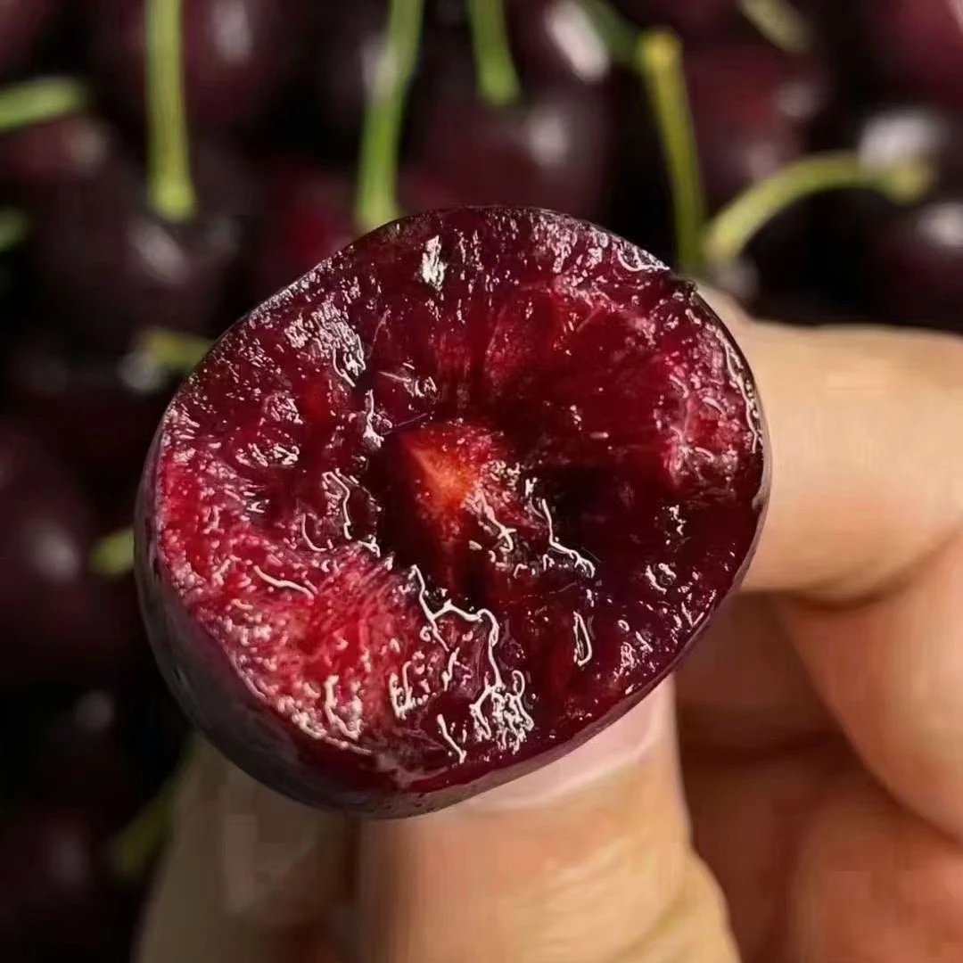 智利空运 波板 桑提娜车厘子，3JD，硬实脆甜！原箱5斤，内附果径卡