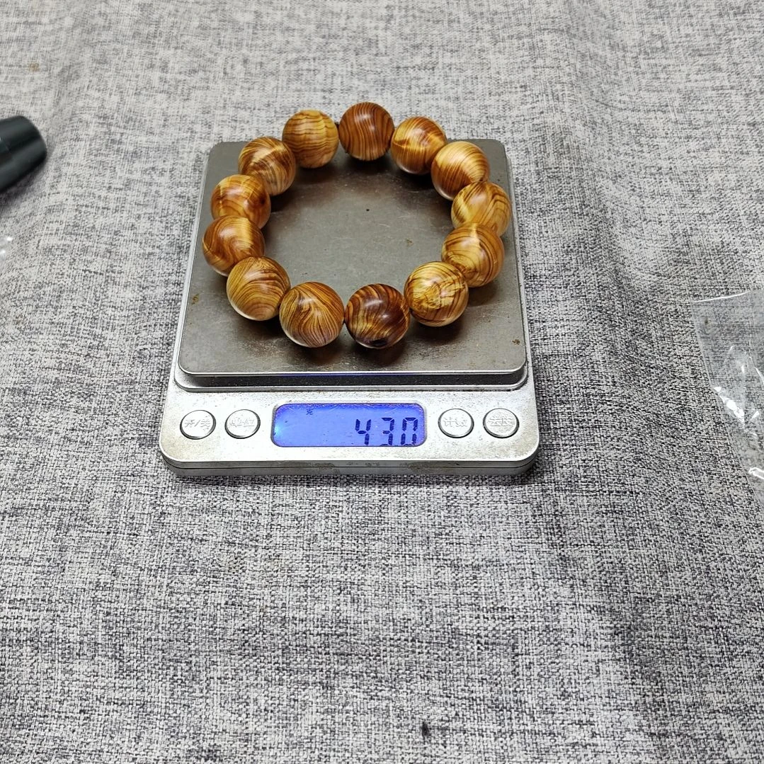 1.8乱纹龙胆闪电太行崖柏