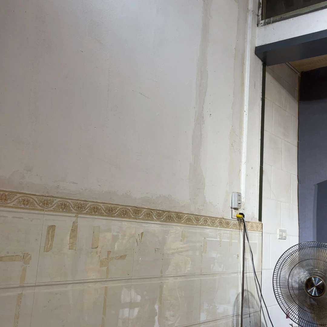 柏木（崖柏）工艺品428