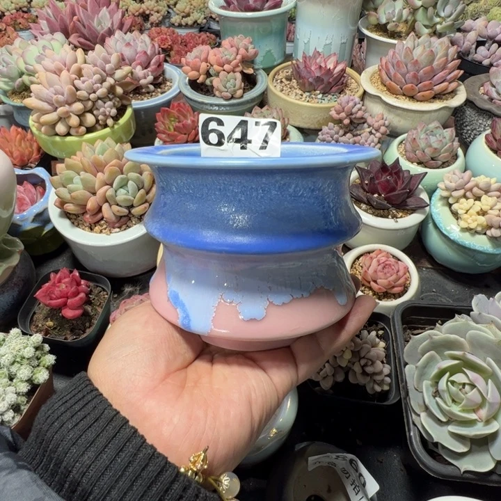 特价花盆 满50发货 内口9