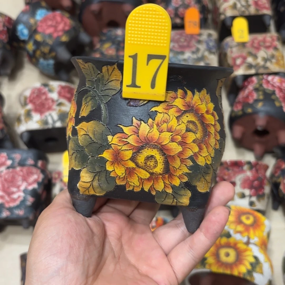 依***依哈哈哈哈哈哈哈哈哈