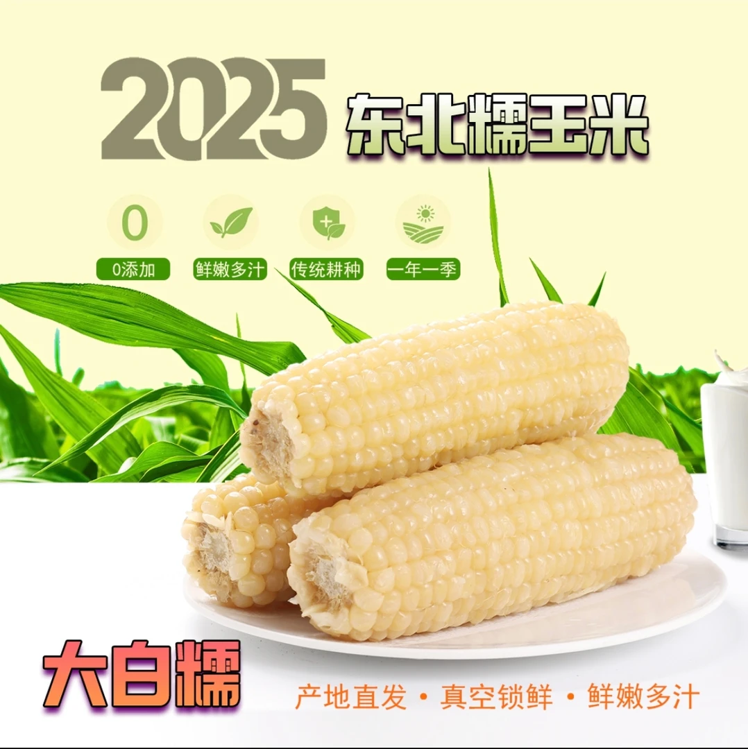 [试吃4根]TL12支新鲜采摘东北头茬白糯玉米真空锁鲜