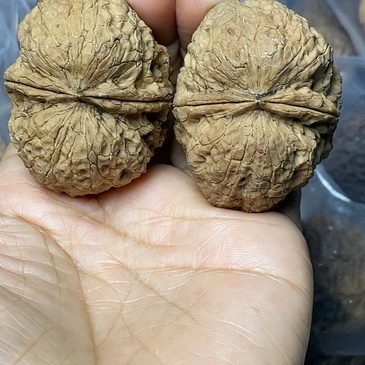 文玩核桃把件云南铁核桃91