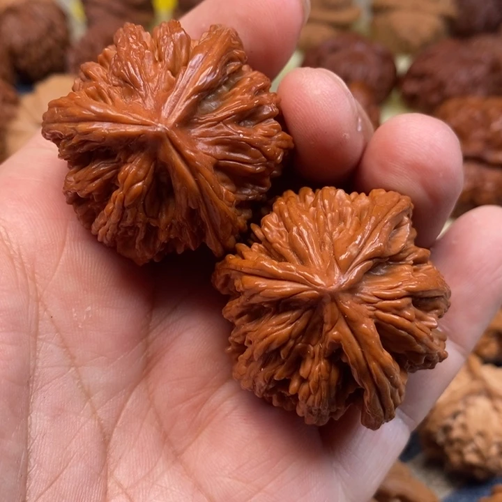 文玩核桃把件碩核桃