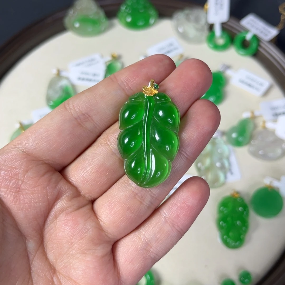 带***浪树叶直播编号S1081