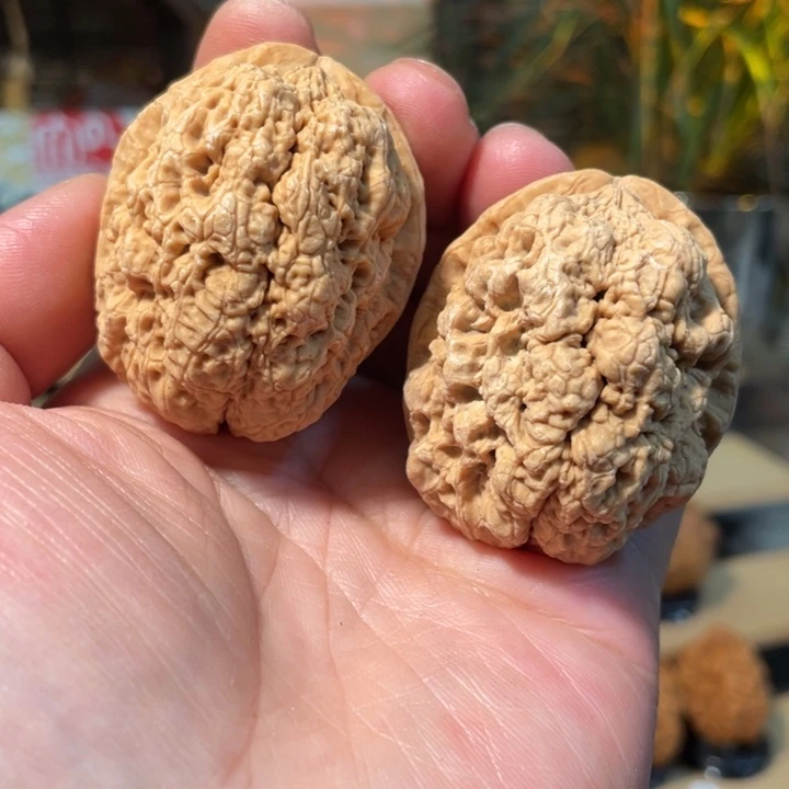 文玩核桃把件编号73