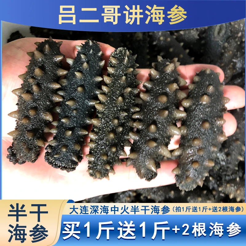 【吕二哥海参】2斤中火深海半干海参正宗辽参非即食海参筋道