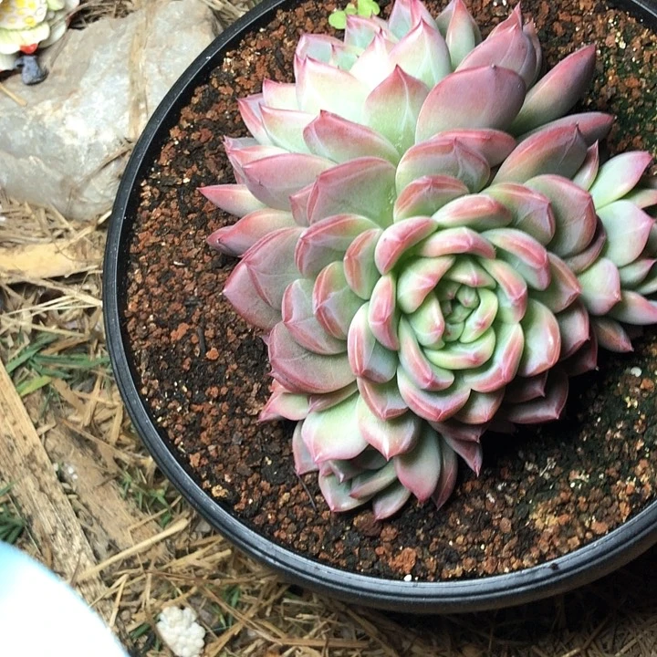 用****622///////////////////