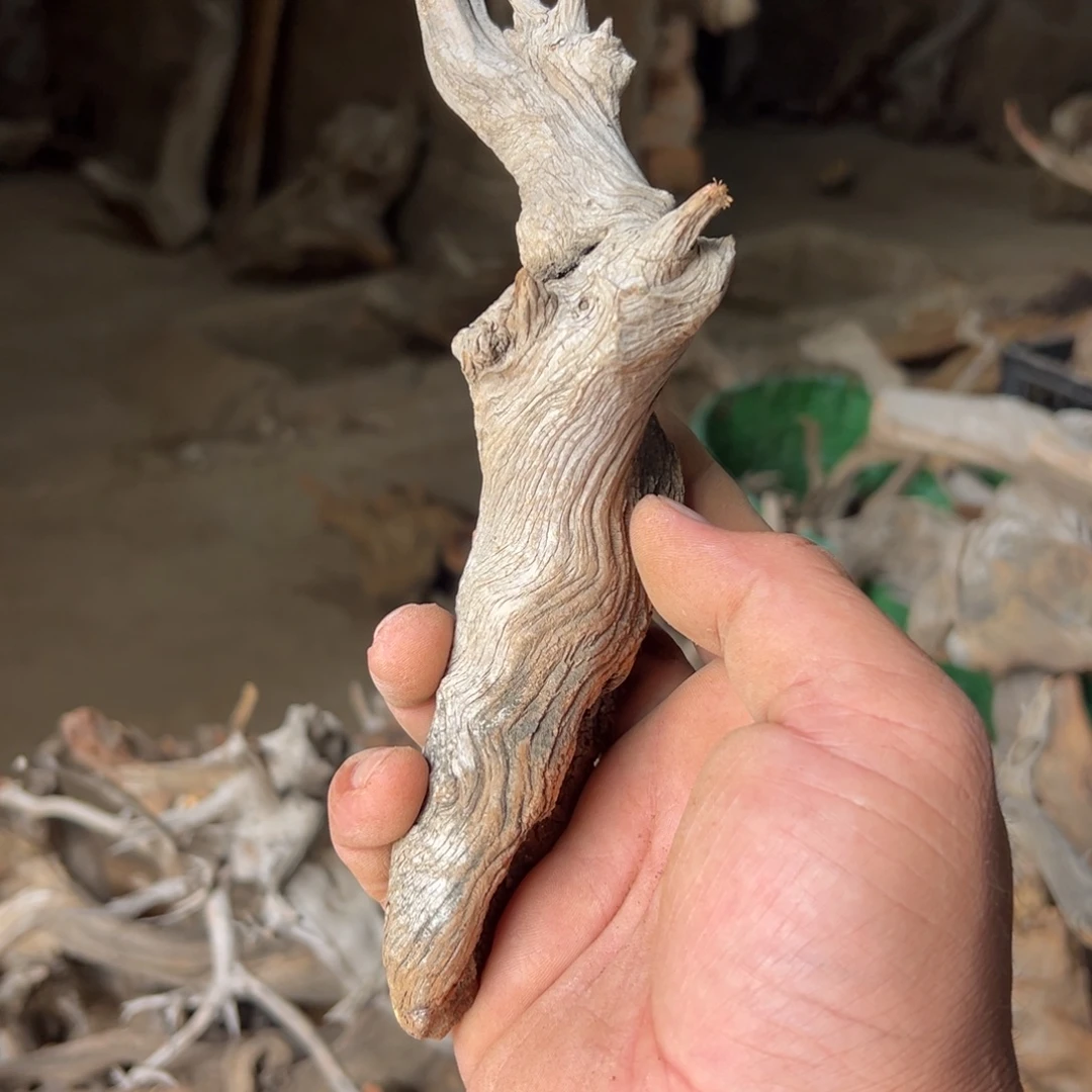 木***虫柏木（崖柏）文玩根雕