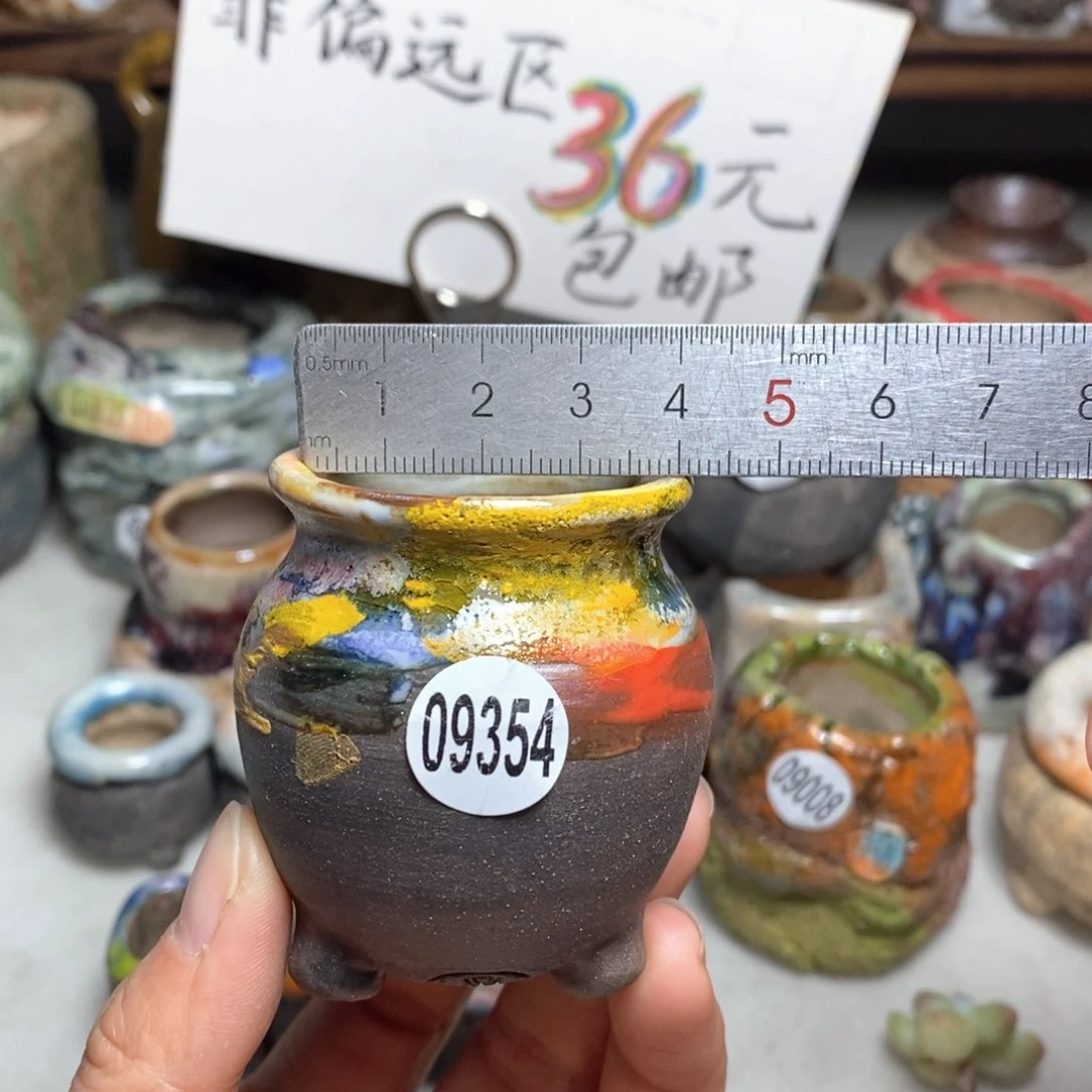 花盆拍5送一个小礼物