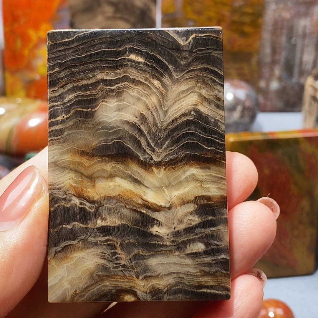 硅化玉天然北票硅化玉圆牌未镶嵌