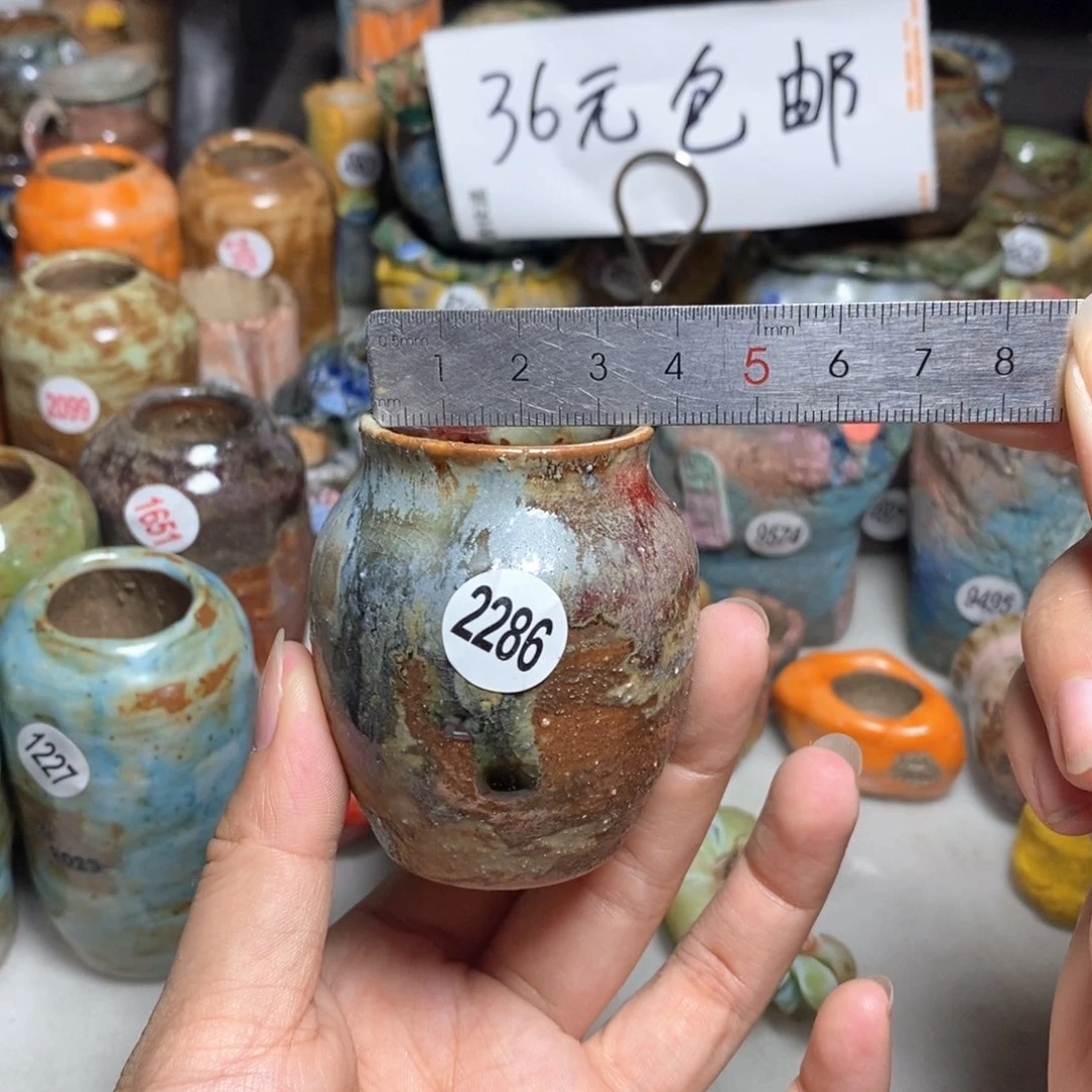 拍5送一个小礼物