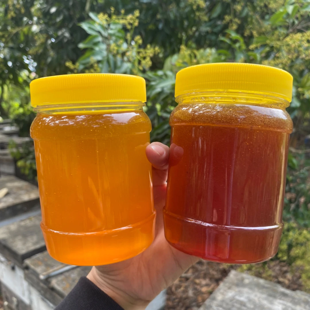 2025年新鲜正宗土蜂蜜中蜂蜜春蜜荔枝蜜龙眼蜜纯正蜂蜜农家土蜂蜜