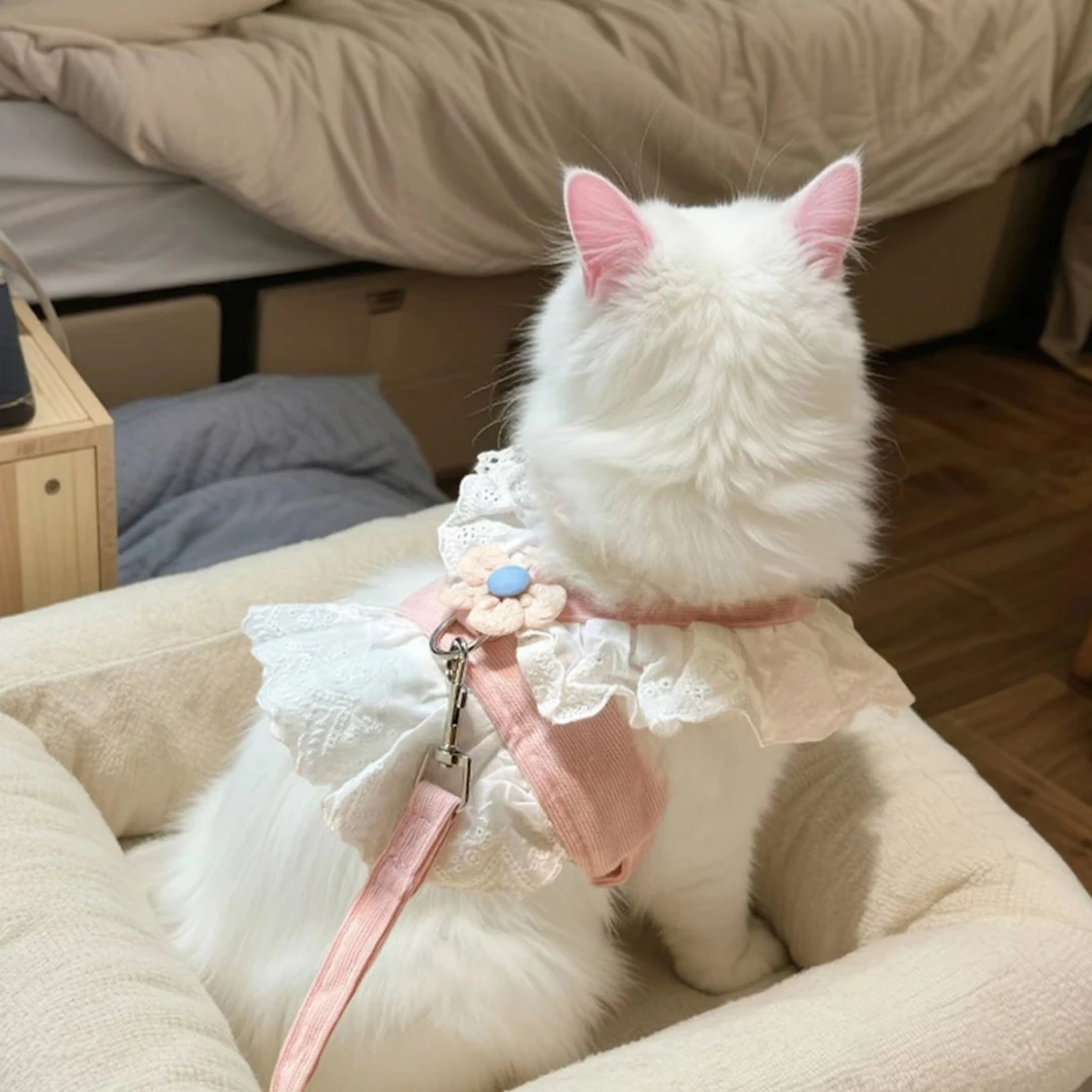 猫咪牵引绳可调节防挣脱夏季出行可爱JK风背心猫狗通用牵引绳胸背