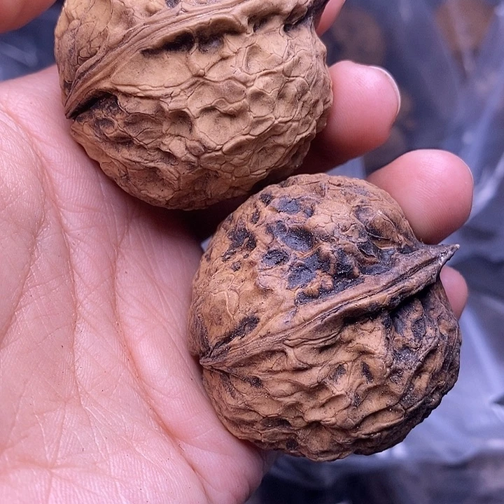 文玩核桃把件   144