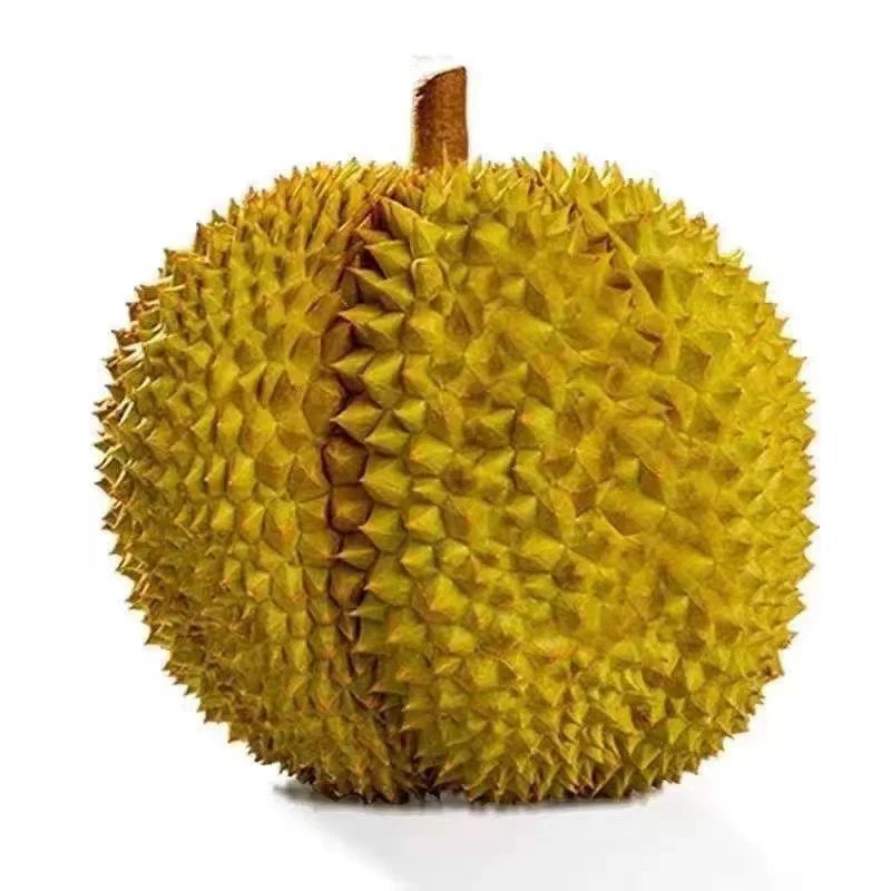 泰国树熟金枕榴莲A果核小1000g鲜榴莲 榴莲同城配金枕泰国