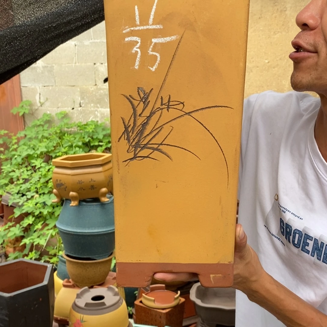 紫砂紫砂紫砂紫砂