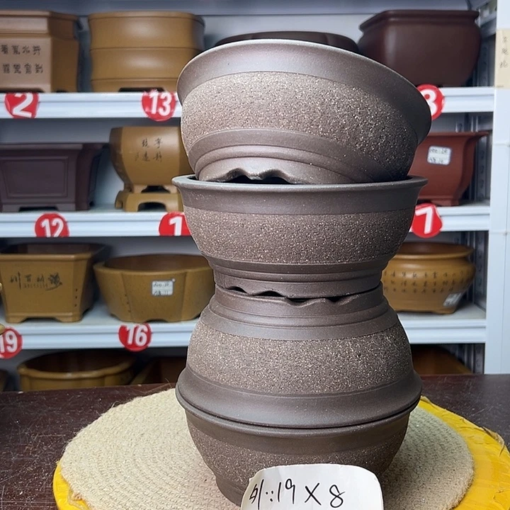 花盆紫砂蛇年大吉