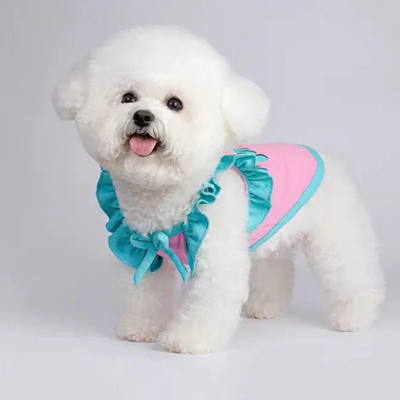 宠物猫咪狗狗衣服洋气新款小型犬雪纳瑞法斗小体狗春夏款薄款背心