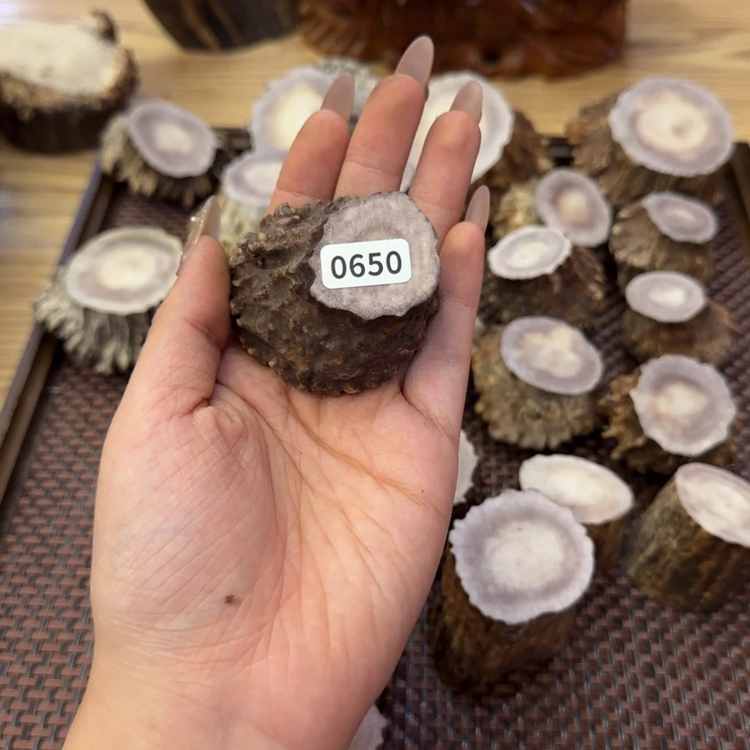 鹿骨其他0650角帽怪角