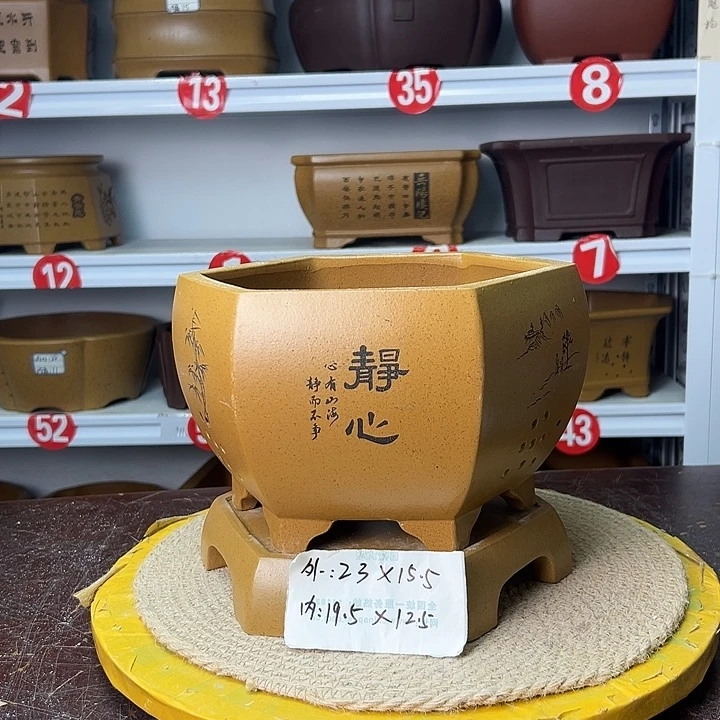 花盆紫砂你在一起