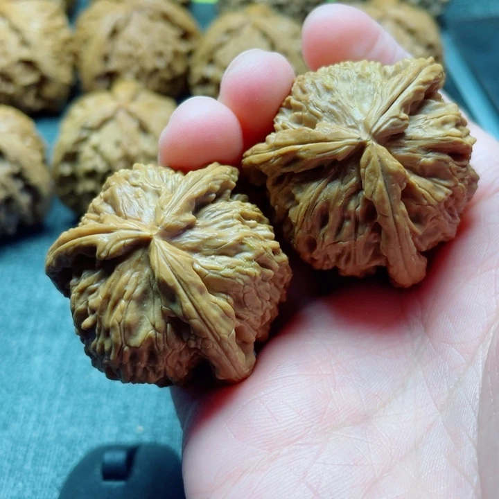 蜻***_手工三棱白狮子三棱