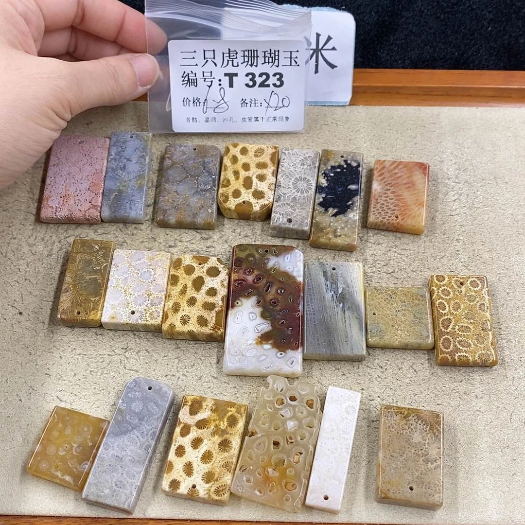 硅化珊瑚（珊瑚玉）1未镶嵌粉*点