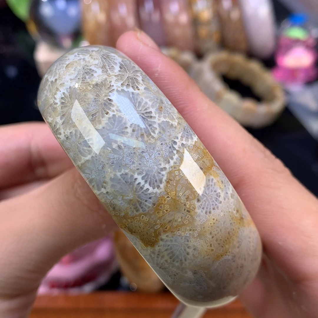 【闪购商品】颈饰未镶嵌硅化珊瑚（珊瑚玉）53号56.4圈蓝心荷叶