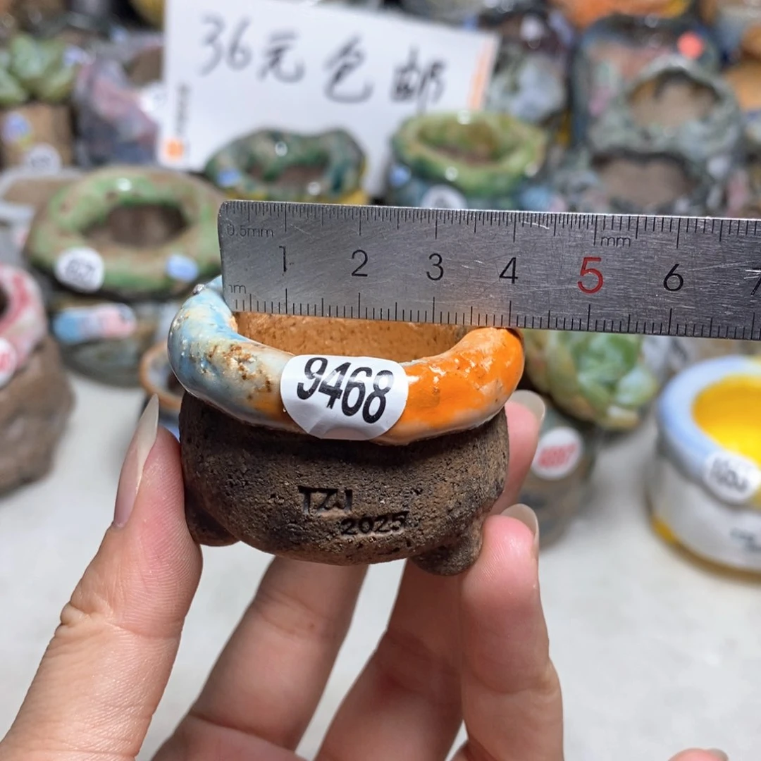 拍3送一个小礼物