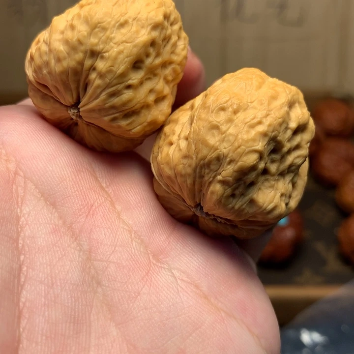 文玩核桃把件37帝王龙脊蛤蟆头