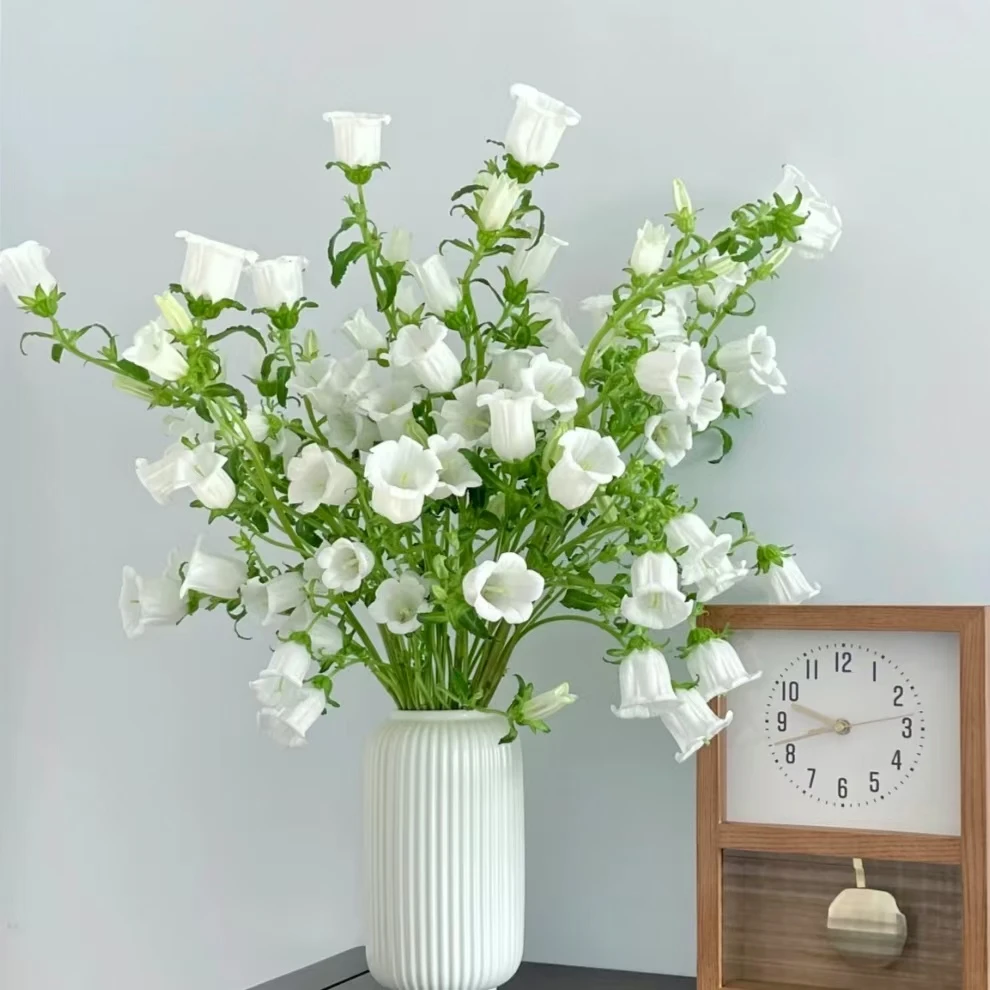 【风铃】精品白色风铃1把 基地直发 | 全场任意满两单鲜花包邮