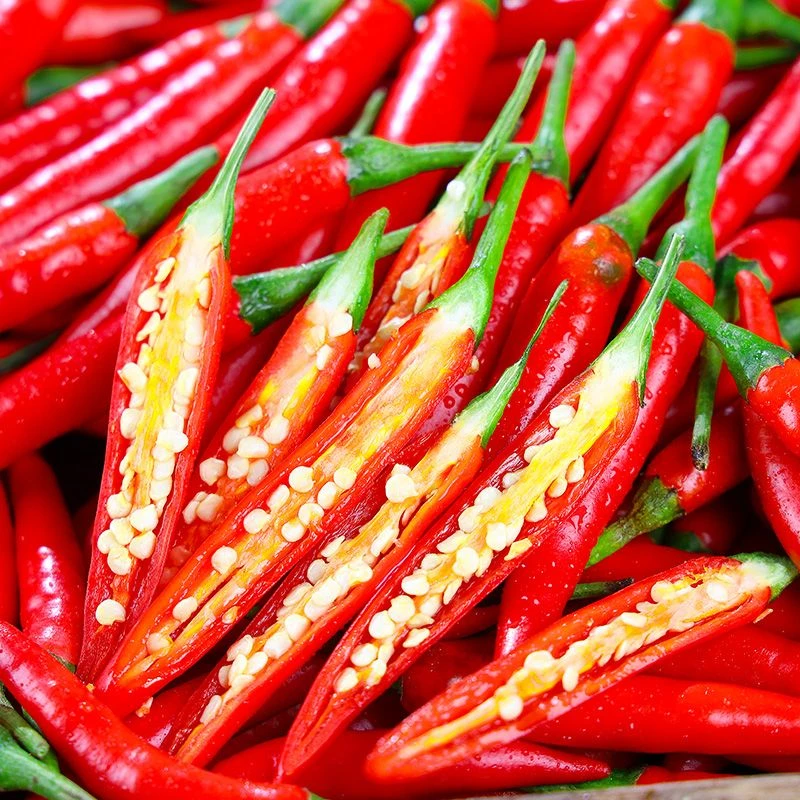 云南高山露天种植红色小米辣朝天辣特辣新鲜现摘现发包邮